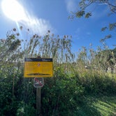 Review photo of Midway Campground — Big Cypress National Preserve by Tom&Jennifer D., January 11, 2022