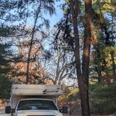 Review photo of Pine Campground — Sand Ridge State Forest by Brandon R., January 11, 2022