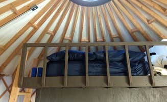 Marty N.'s photo of glamping accommodations at The Blueberry Patch near Ellenville, NY