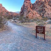 Review photo of Atlatl Rock Campground — Valley of Fire State Park by Emily F., January 11, 2022