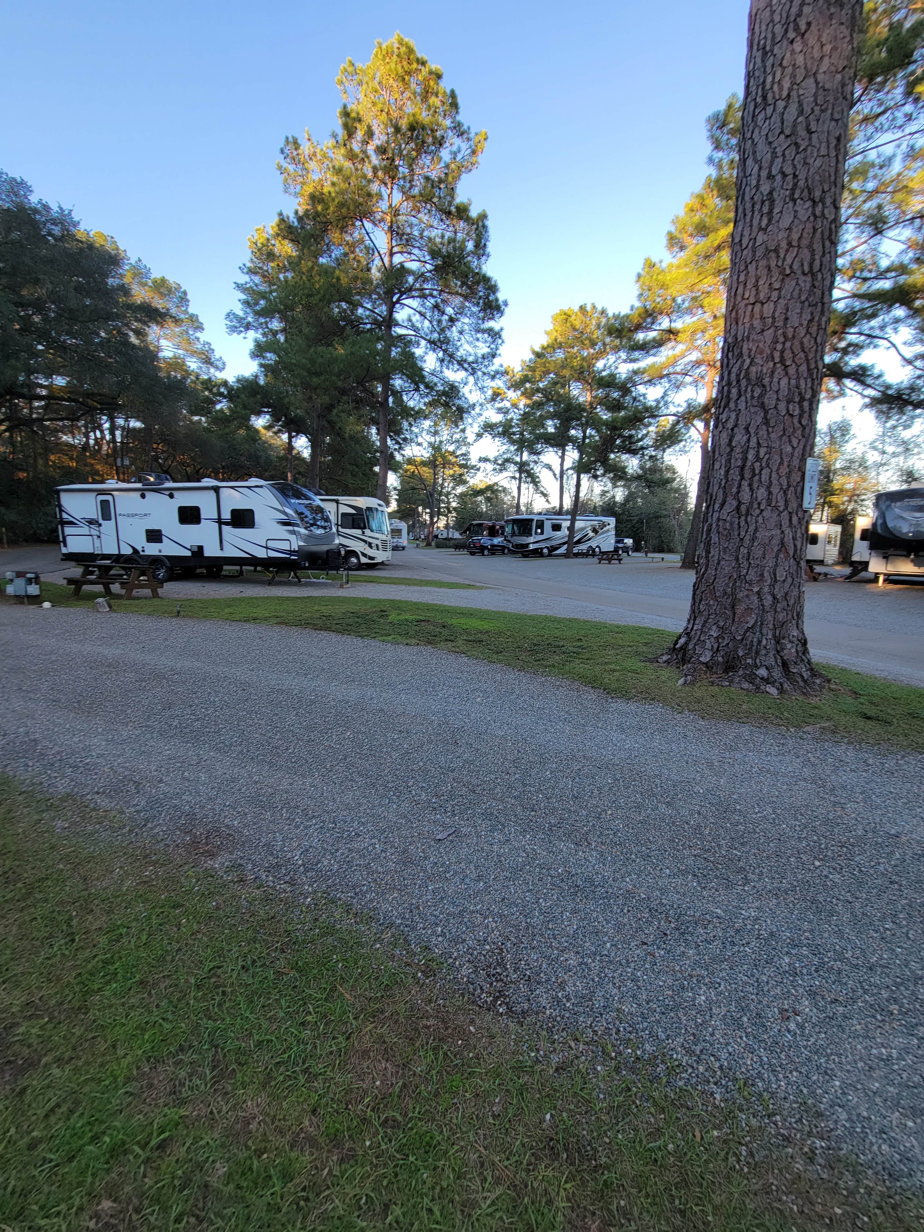 Camper-submitted photo at Tallahassee RV Park near Wacissa, FL