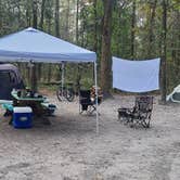 Review photo of Ichetucknee Springs Campground by Chad N., January 11, 2022