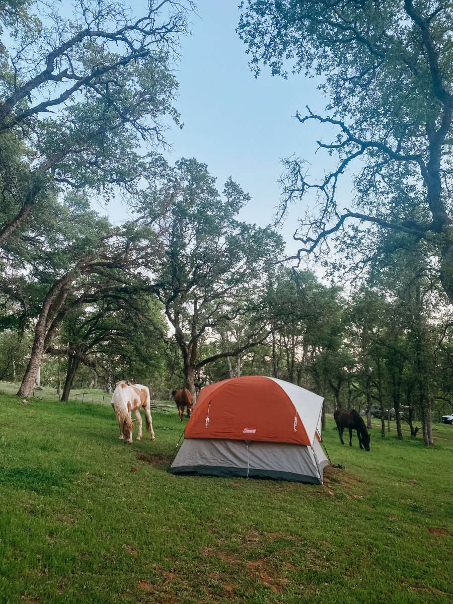 Camper submitted image from  Ascension Ranch - 4