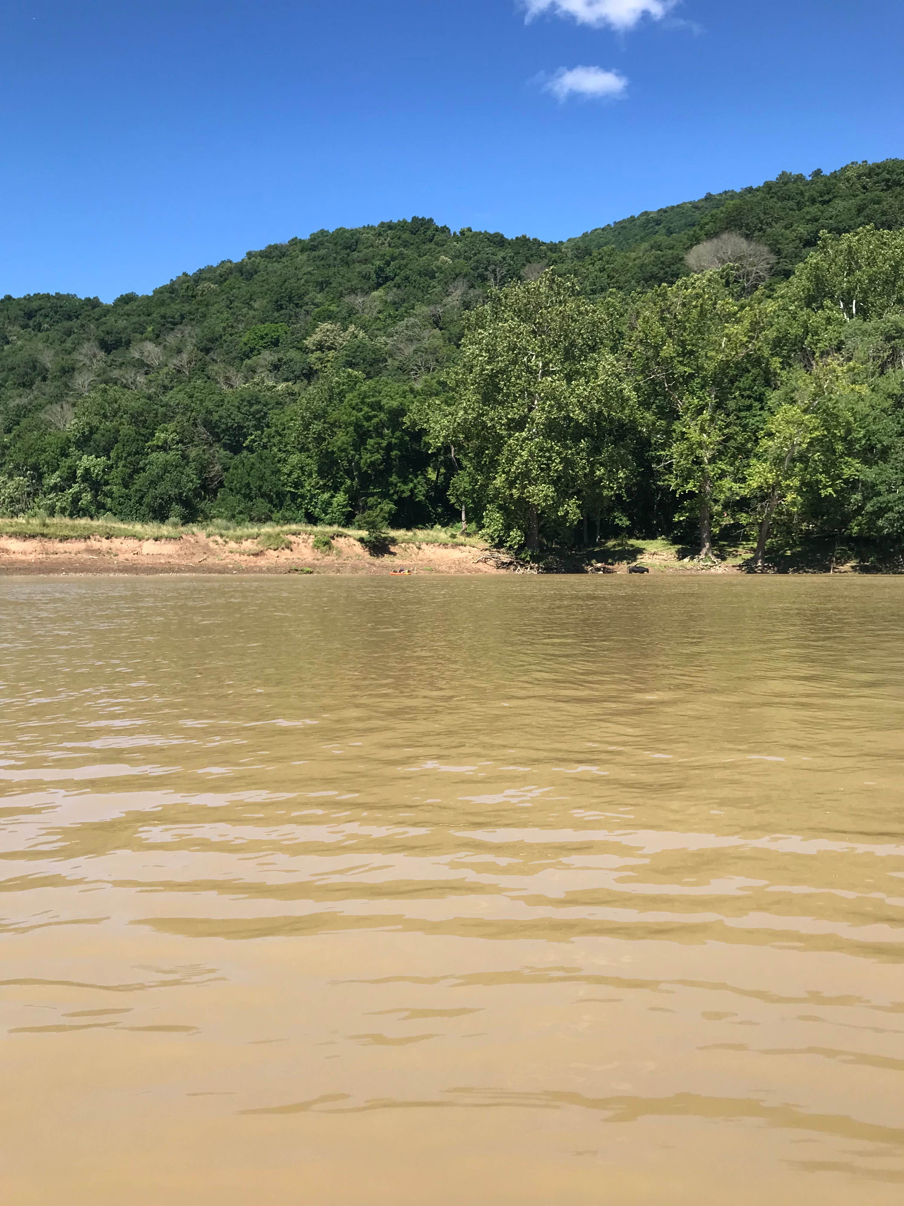 Camper-submitted photo at Wapocoma Campground near Romney, WV