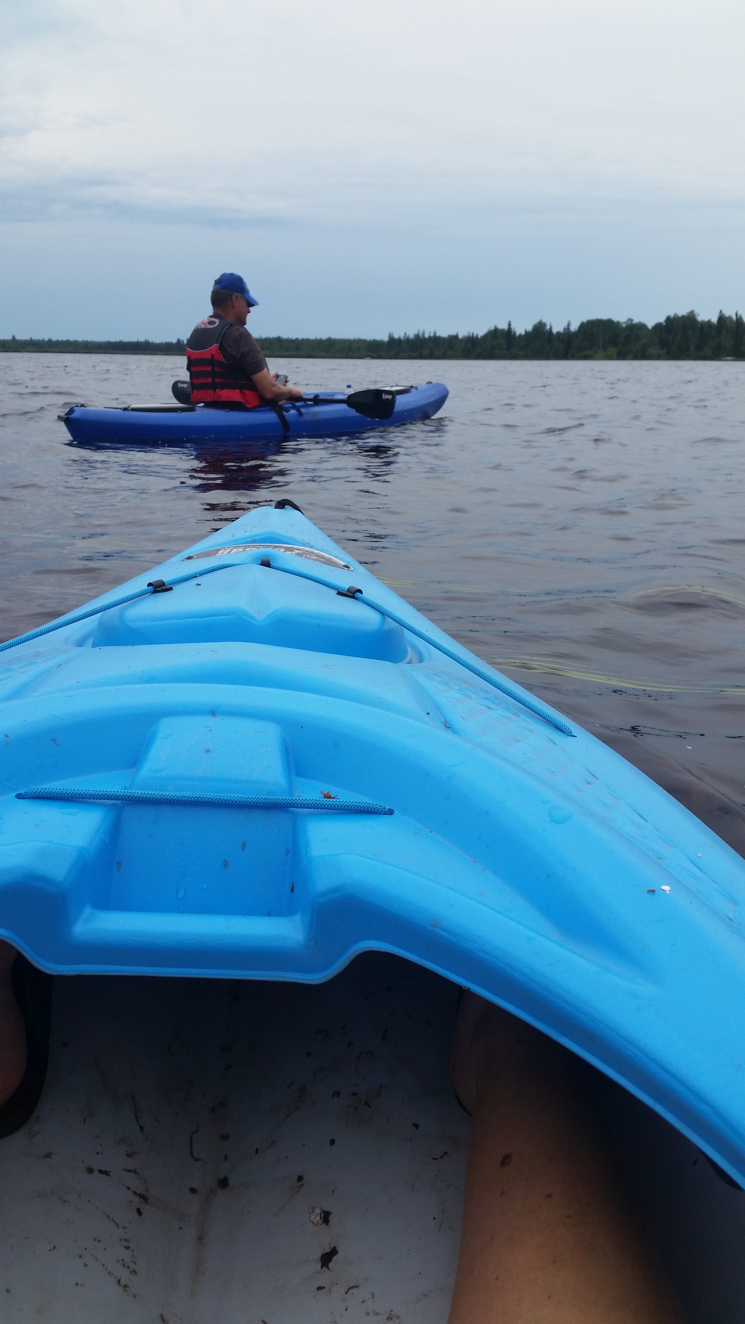 Kayaking the calm waters, we checked out the shorelines and even paddled under a fallen tree.