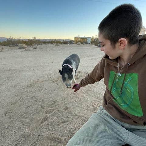 Camper-submitted photo at Simply Camping near Joshua Tree National Park