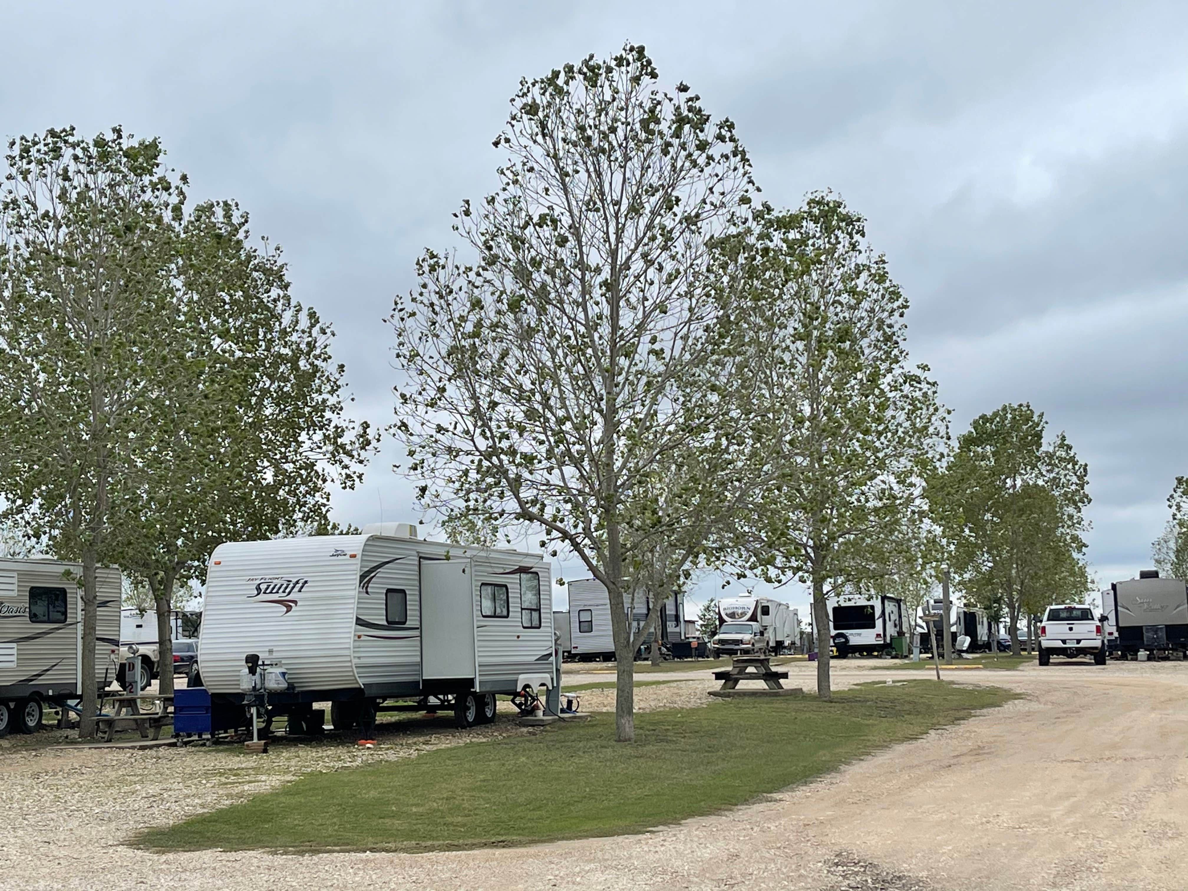 Camping near Tiny Tots Honey Bee Farm: East Austin RV Park, Elgin, Texas