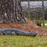 Review photo of Indian Creek Campground by Brian M., January 12, 2022