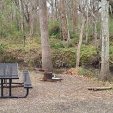 Review photo of Acadiana Park Campground by Brian M., January 12, 2022