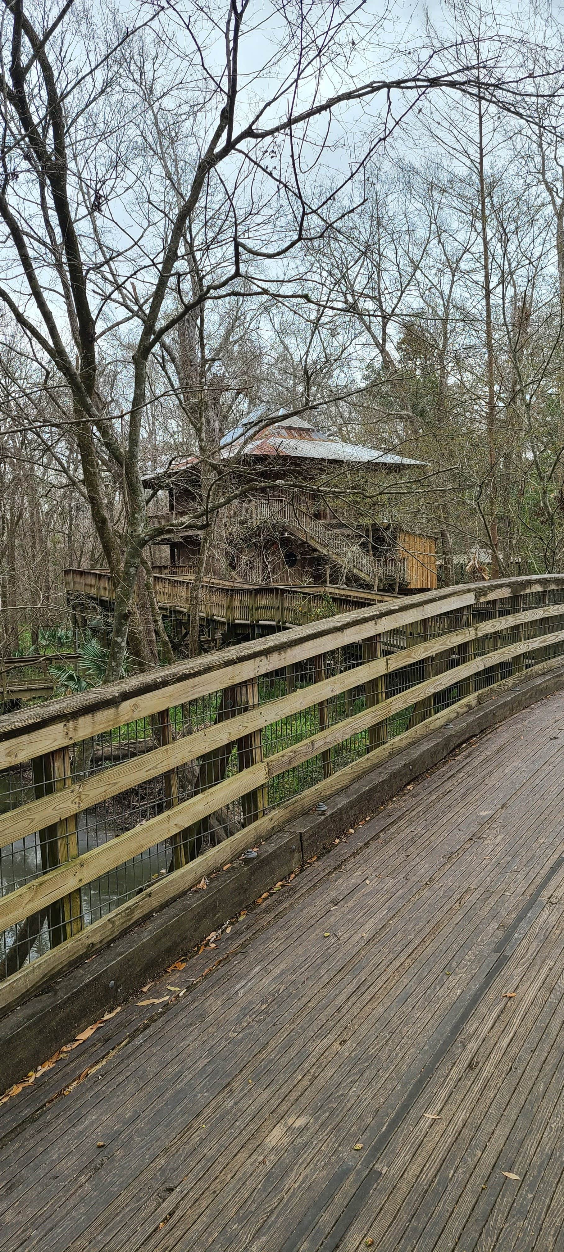 Camper submitted image from Acadiana Park Campground - 3