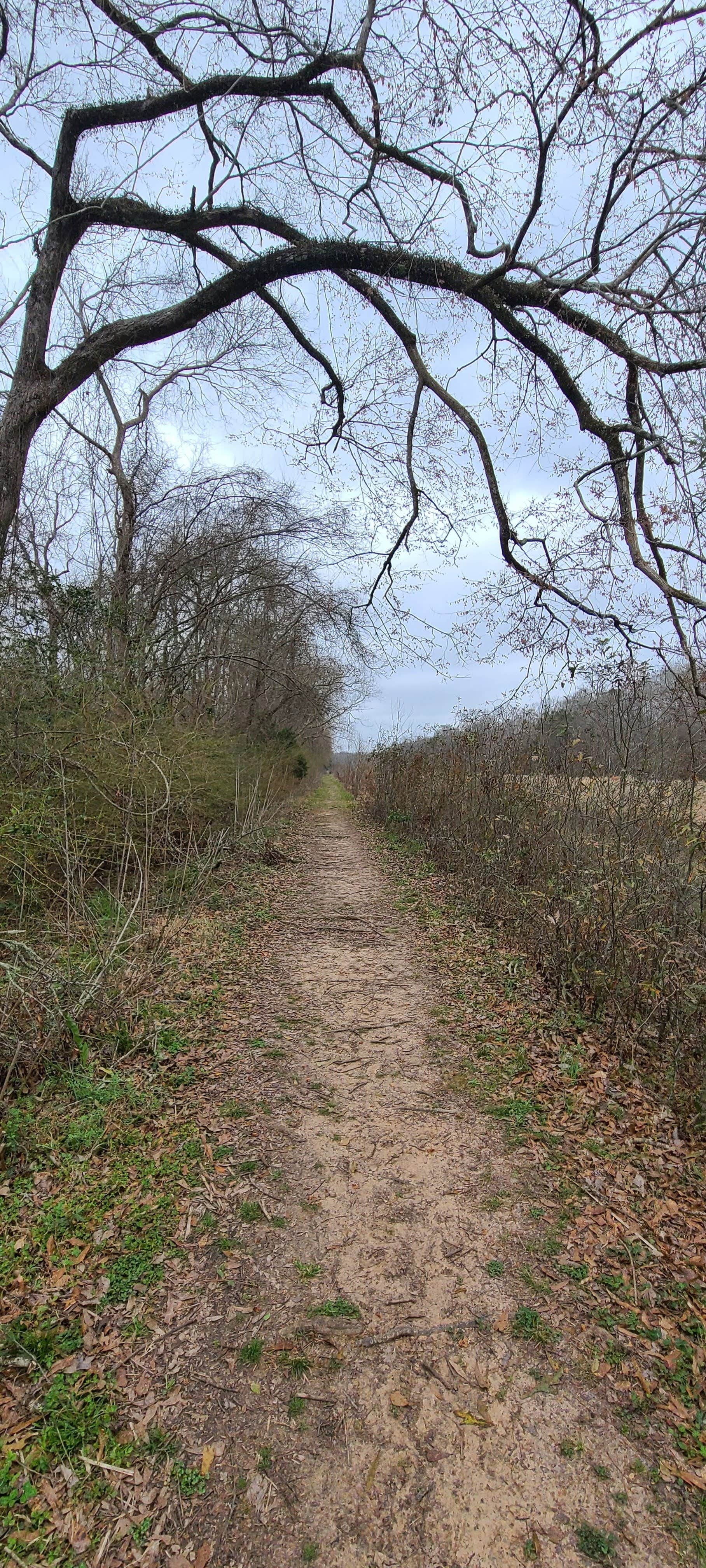 Camper submitted image from Acadiana Park Campground - 2