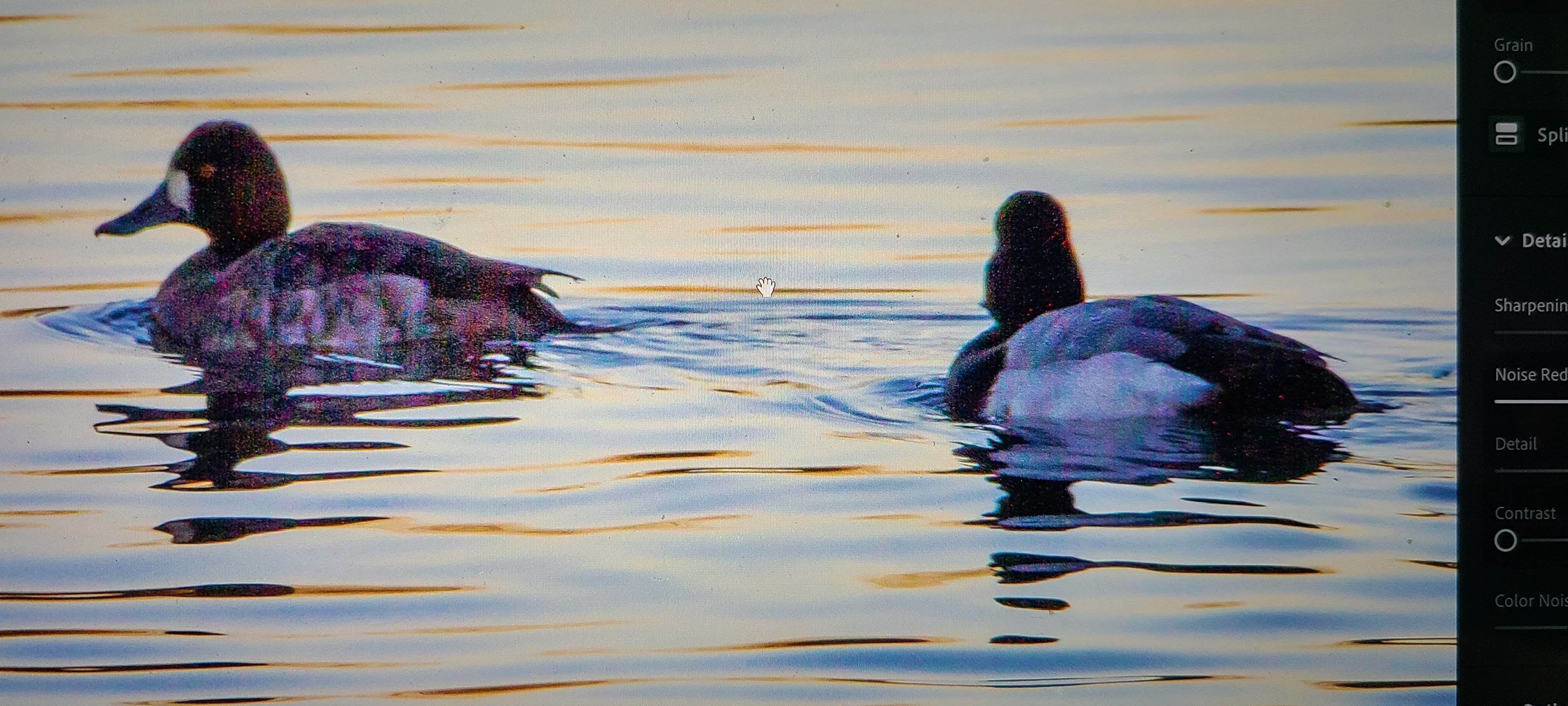 Camper submitted image from Acadiana Park Campground - 5