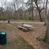 Review photo of Acadiana Park Campground by Brian M., January 12, 2022