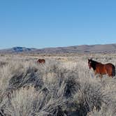 Review photo of Washoe Lake State Park Campground by Andrew R., January 12, 2022