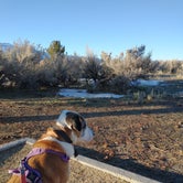 Review photo of Washoe Lake State Park Campground by Andrew R., January 12, 2022