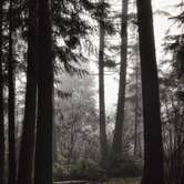 Review photo of American Heritage Campground by Emma Y., January 12, 2022