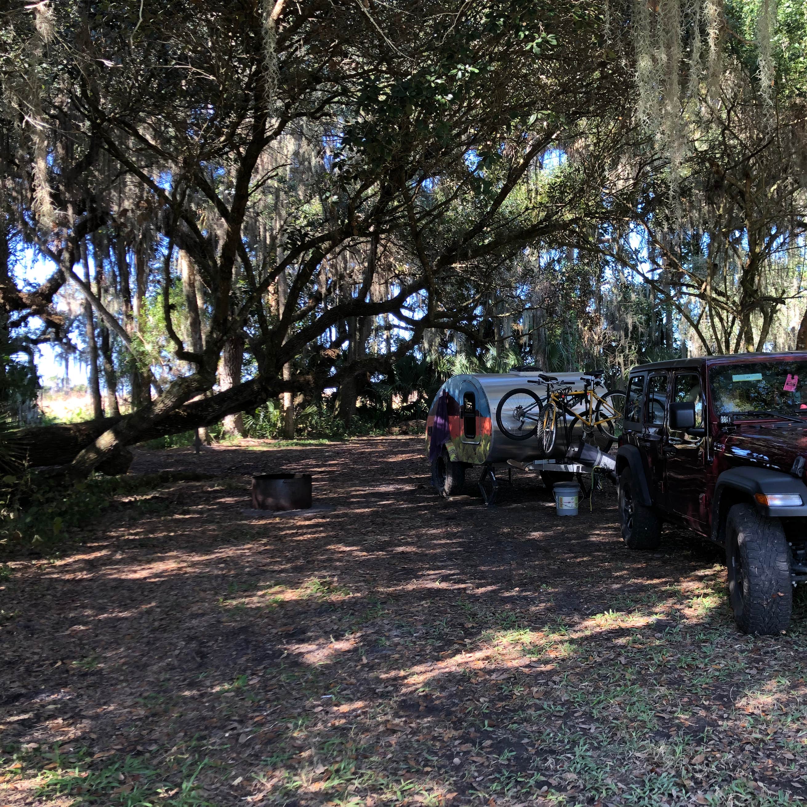 Dinner Island Ranch WMA Camping | Immokalee, Florida