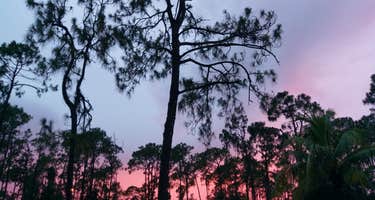Woodsmoke Camping Resort