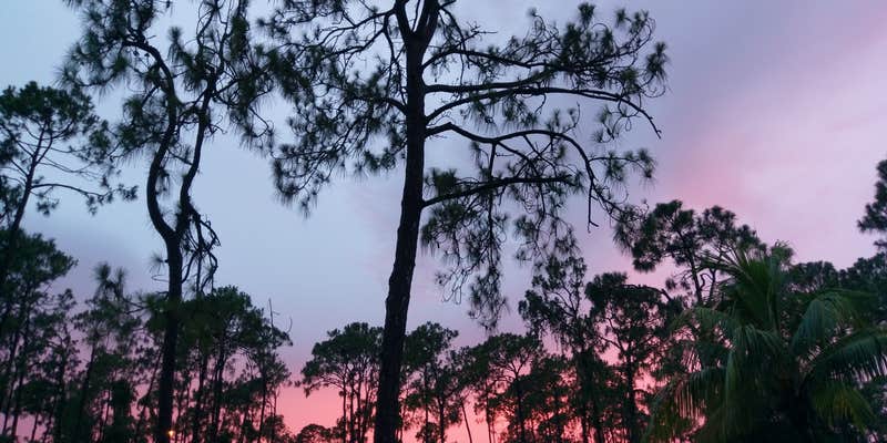 Camper submitted image from Woodsmoke Camping Resort