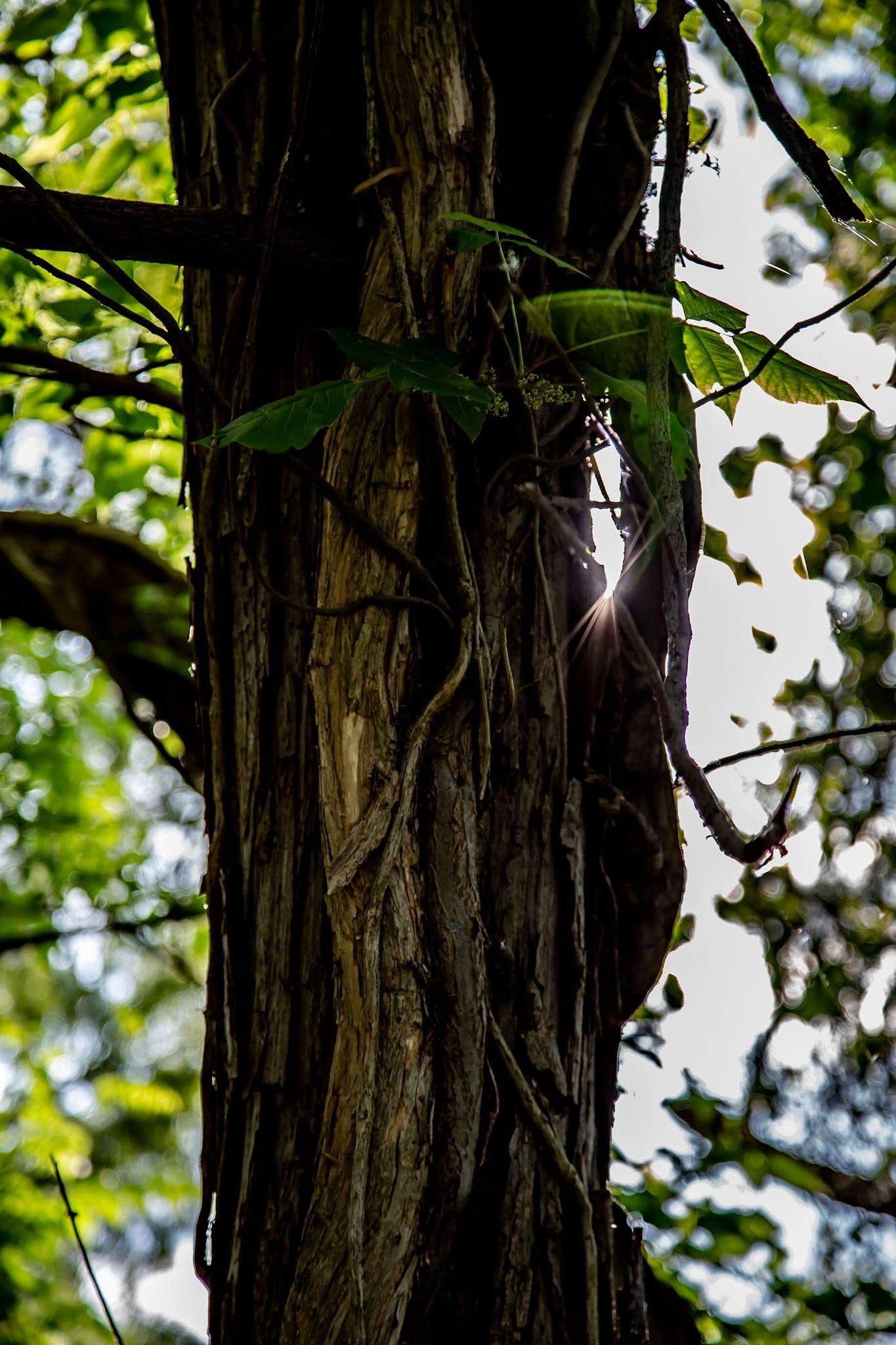 Camper-submitted photo at Arcadia Lake in Oklahoma