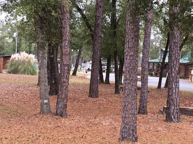 Camper submitted image from Triple C's Campground & RV Park-PERMANENTLY CLOSED - 1