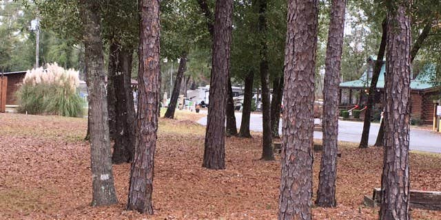 Camper submitted image from Triple C's Campground & RV Park-PERMANENTLY CLOSED