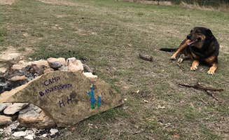 Susan L.'s photo of camping with pets at Bankersmith, TX near Fredericksburg, TX