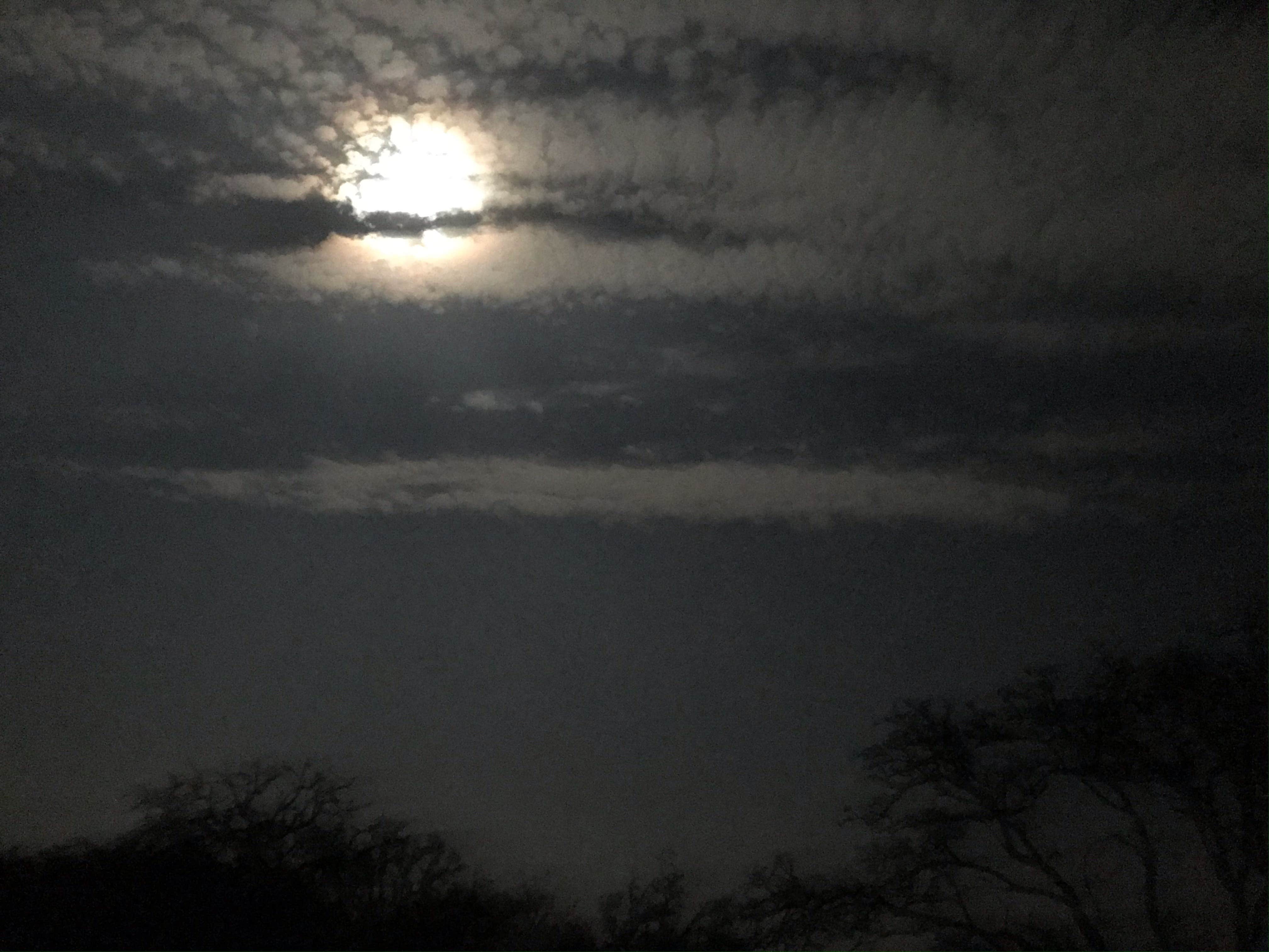 Camper-submitted photo at Bankersmith, TX near Fredericksburg, TX