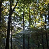 Review photo of East Fork State Park Campground by Jen S., July 9, 2018