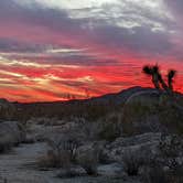 Review photo of White Tank Campground — Joshua Tree National Park by Herbster , January 12, 2022