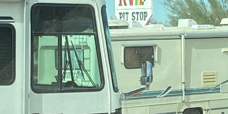 Camper submitted image from Hi Jolly BLM Dispersed Camping Area