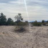 Review photo of Hi Jolly BLM Dispersed Camping Area by Andi F., January 12, 2022