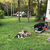 Review photo of East Fork State Park Campground by Jen S., July 9, 2018