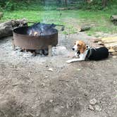 Review photo of East Fork State Park Campground by Jen S., July 9, 2018