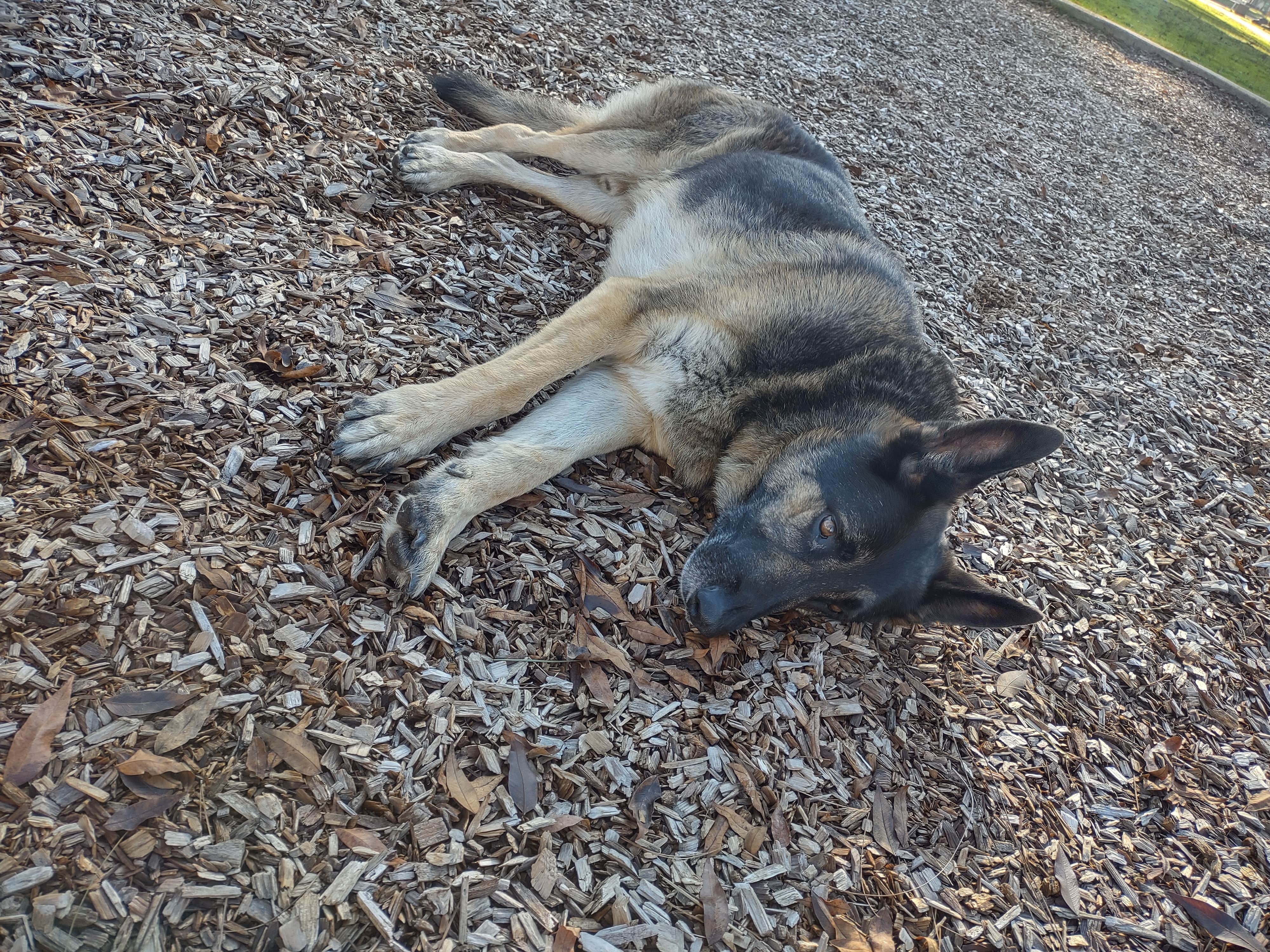 Camper-submitted photo at Lost Lake Campground near Fresno, CA
