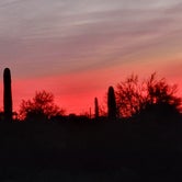 Review photo of Picacho Peak State Park Campground by Christopher , January 13, 2022