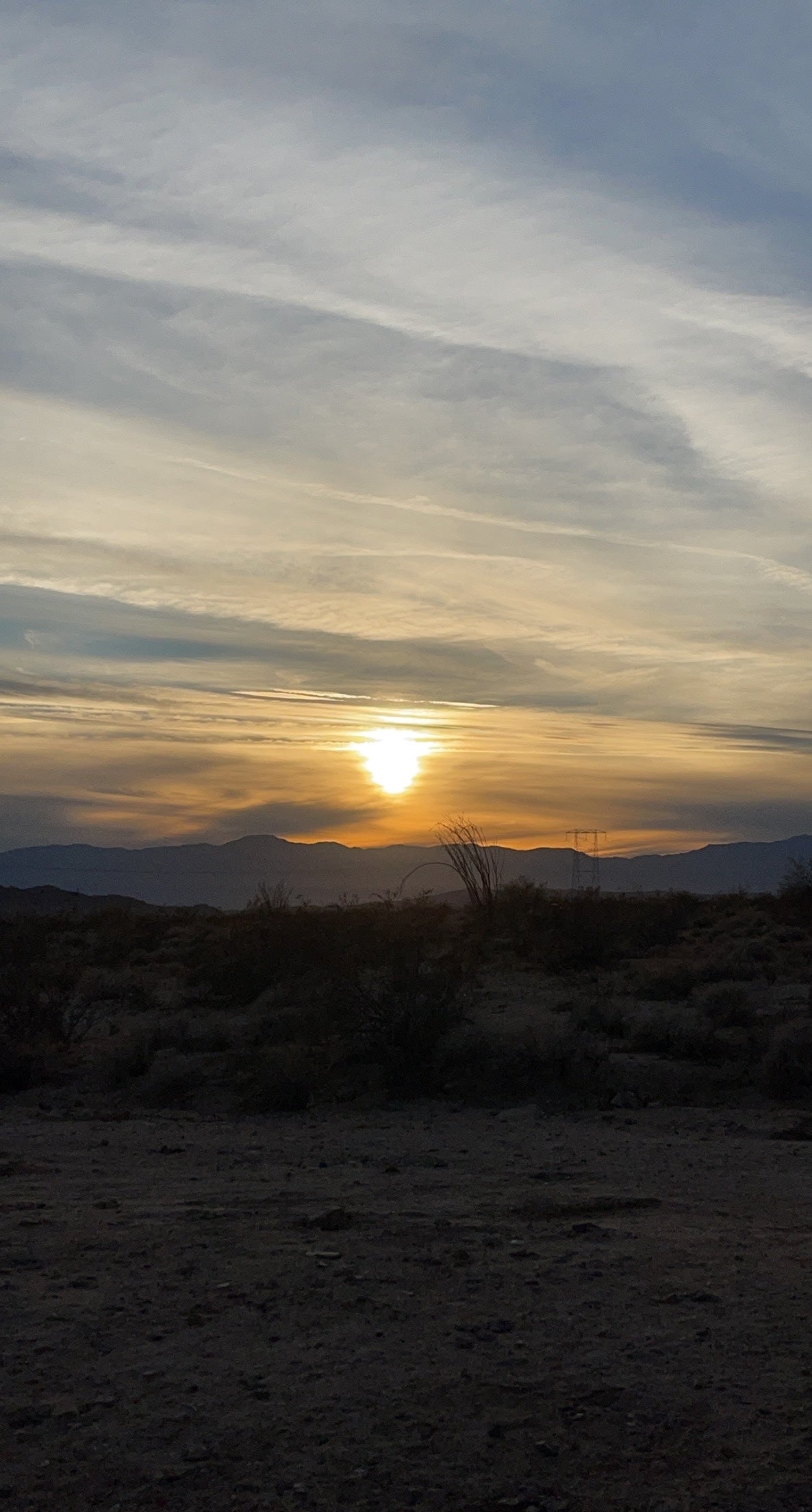 Camper submitted image from Joshua tree BLM by entrance  - 2