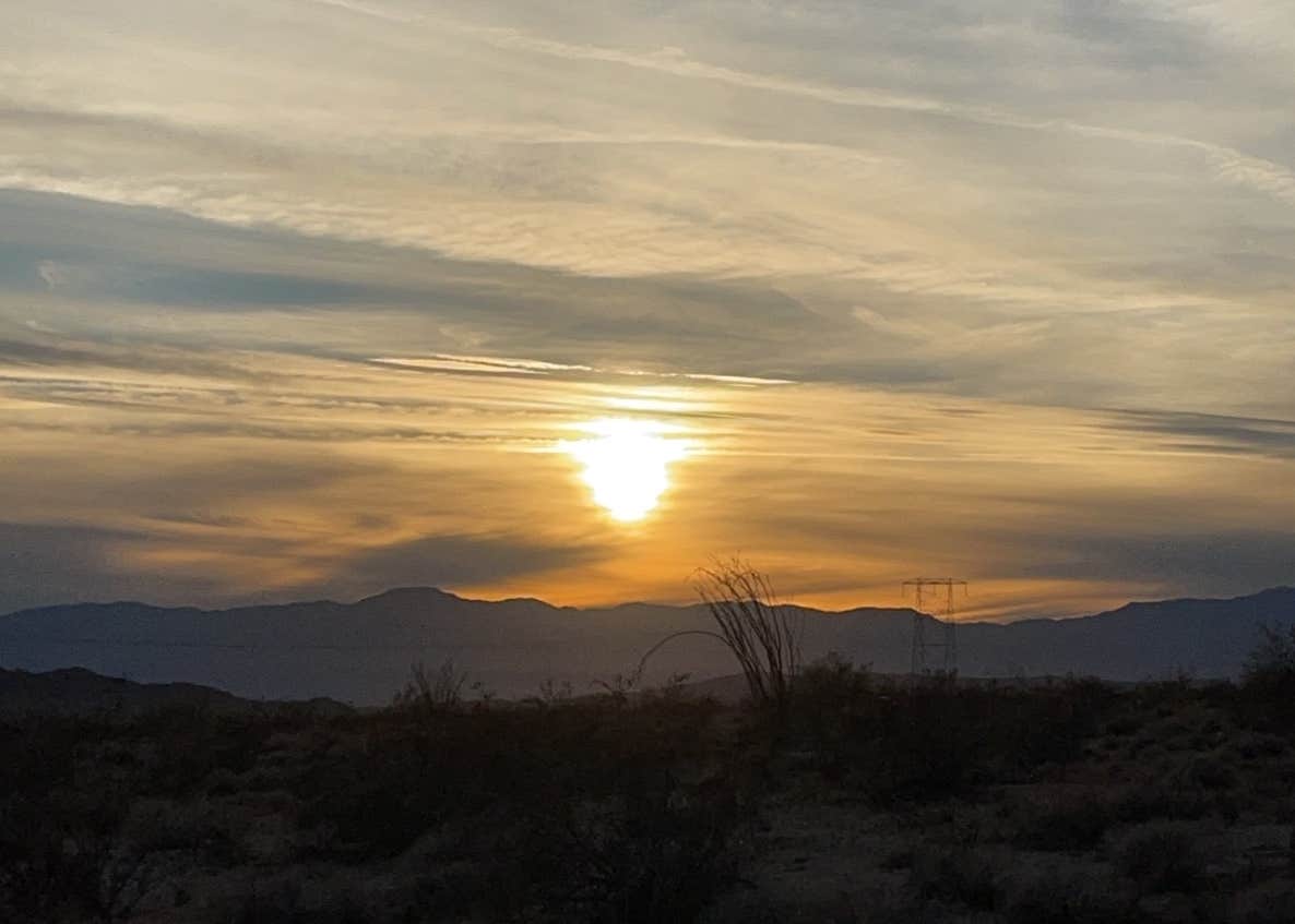 Joshua tree BLM by entrance Camping The Dyrt