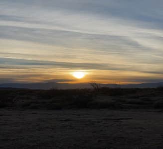 Camper-submitted photo from Joshua tree BLM by entrance 