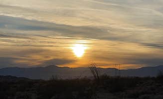 Jessica's photo of a dispersed camping area at Joshua tree BLM by entrance near Indio, CA