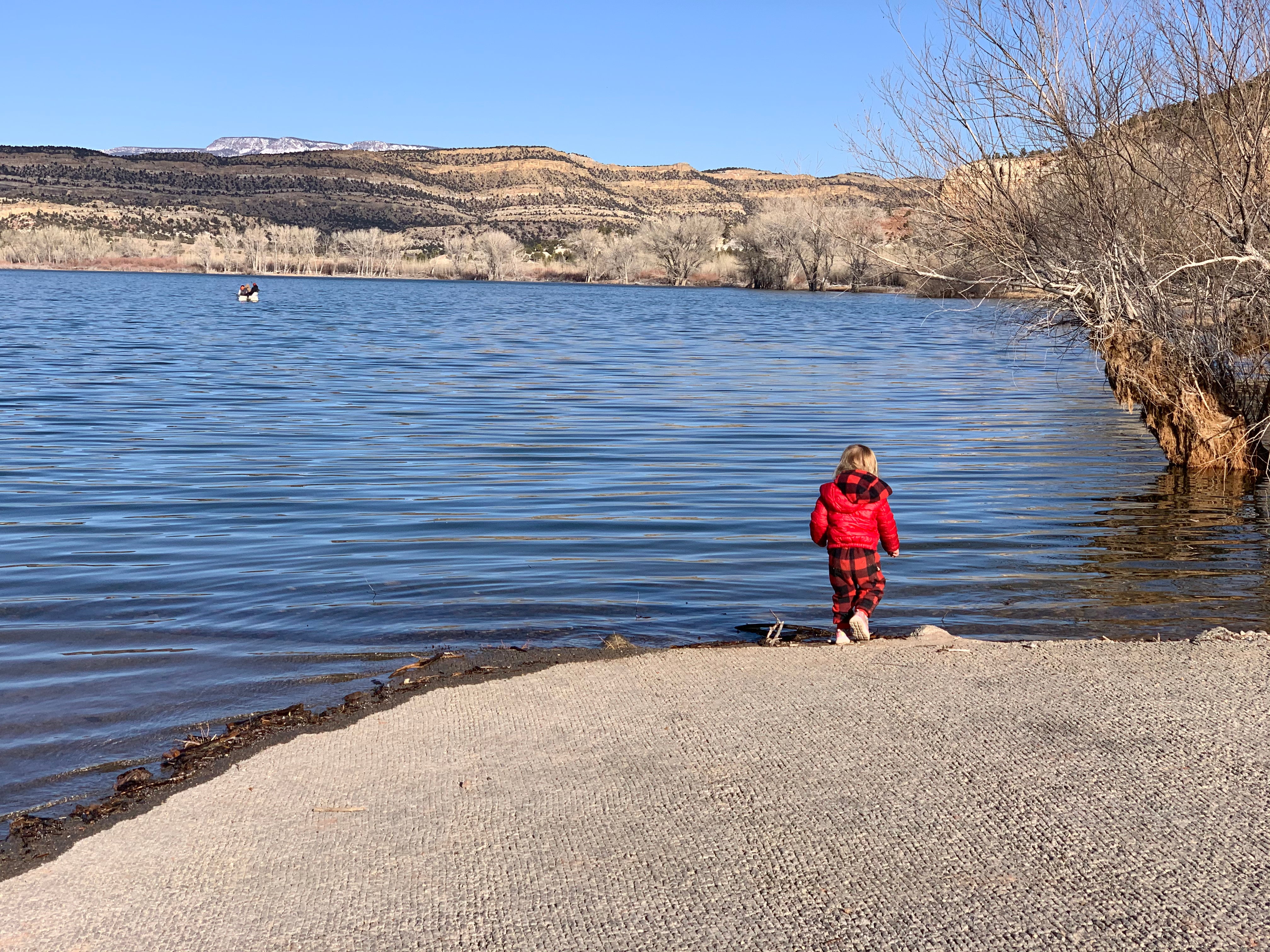Camper submitted image from Wide Hollow Campground — Escalante State Park - 4