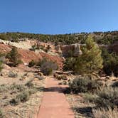 Review photo of Wide Hollow Campground - Escalante Petrified Forest by Ashlee W., January 13, 2022