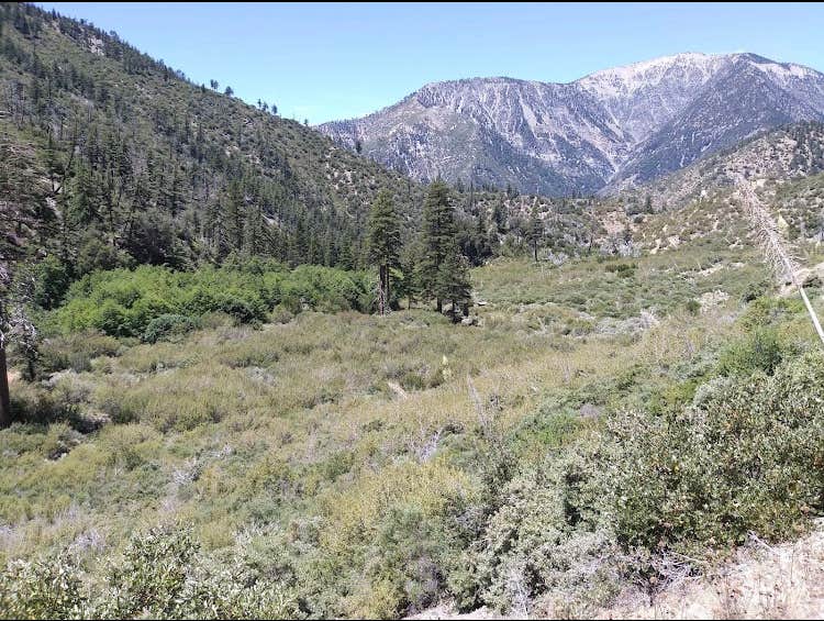 Cabin Flat Trail Campground - CLOSED