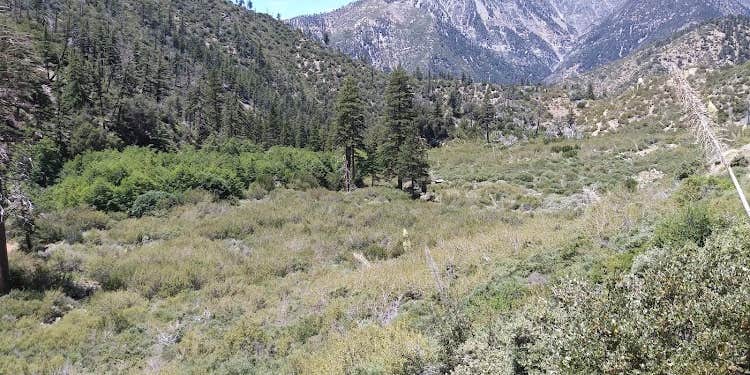 Camper submitted image from Cabin Flat Trail Campground - CLOSED