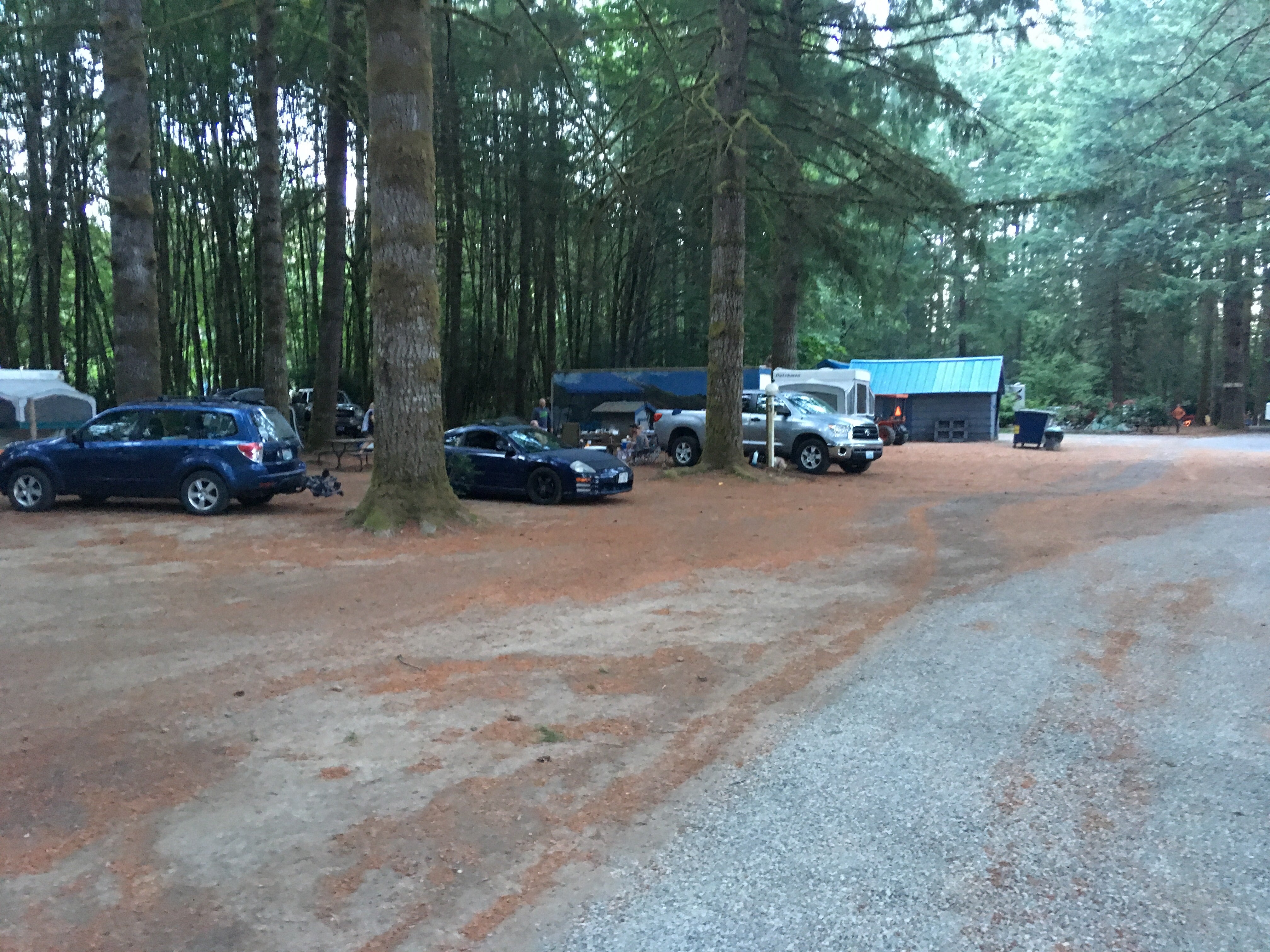 Camper submitted image from Cougar RV Park and Campground - 4