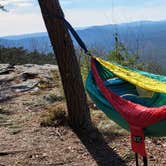 Review photo of McDill Point Backcountry — Cheaha State Park by Nancy C., January 13, 2022