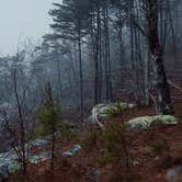 Review photo of McDill Point Backcountry — Cheaha State Park by Nancy C., January 13, 2022