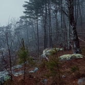 Review photo of McDill Point Backcountry — Cheaha State Park by Nancy C., January 13, 2022