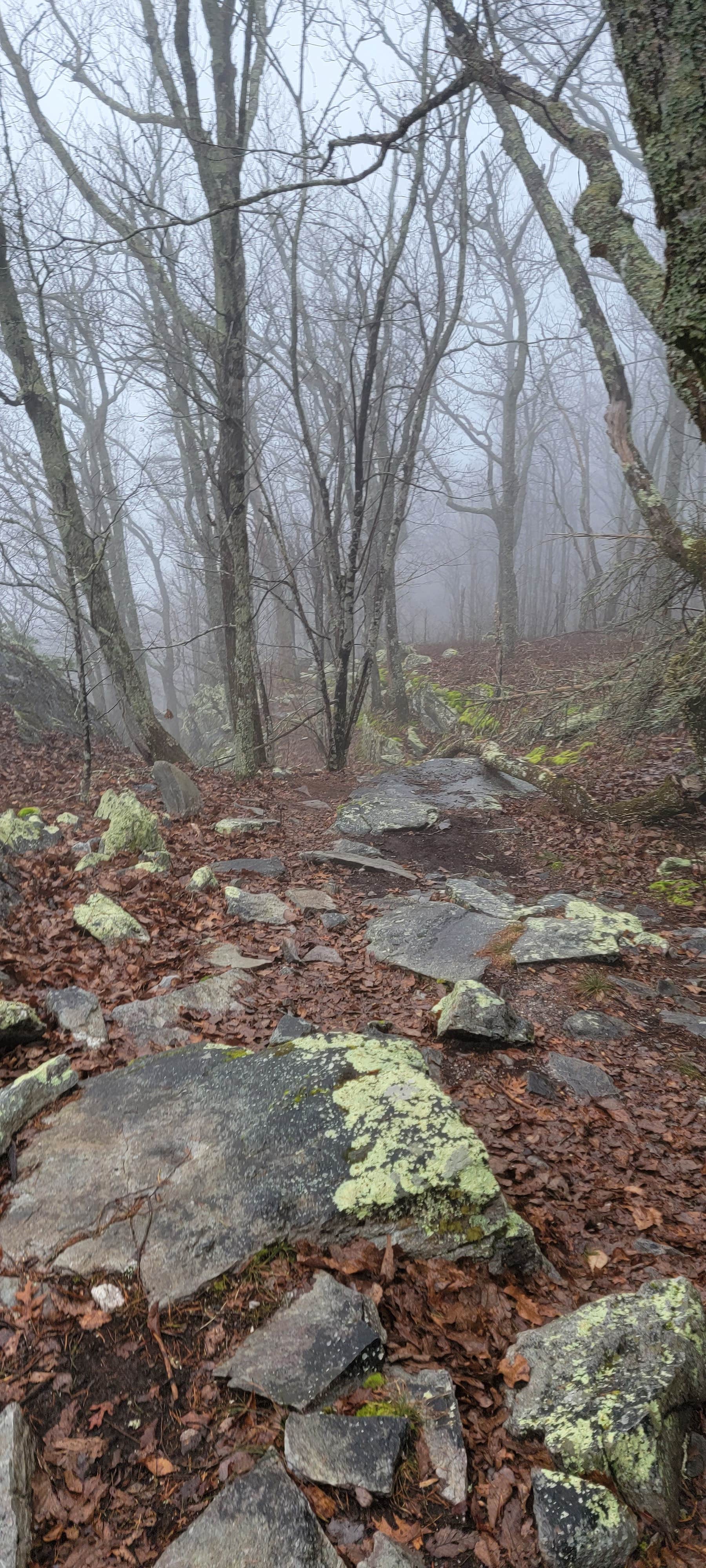 Camper-submitted photo at McDill Point Backcountry — Cheaha State Park near Lineville, AL
