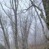 Review photo of McDill Point Backcountry — Cheaha State Park by Nancy C., January 13, 2022